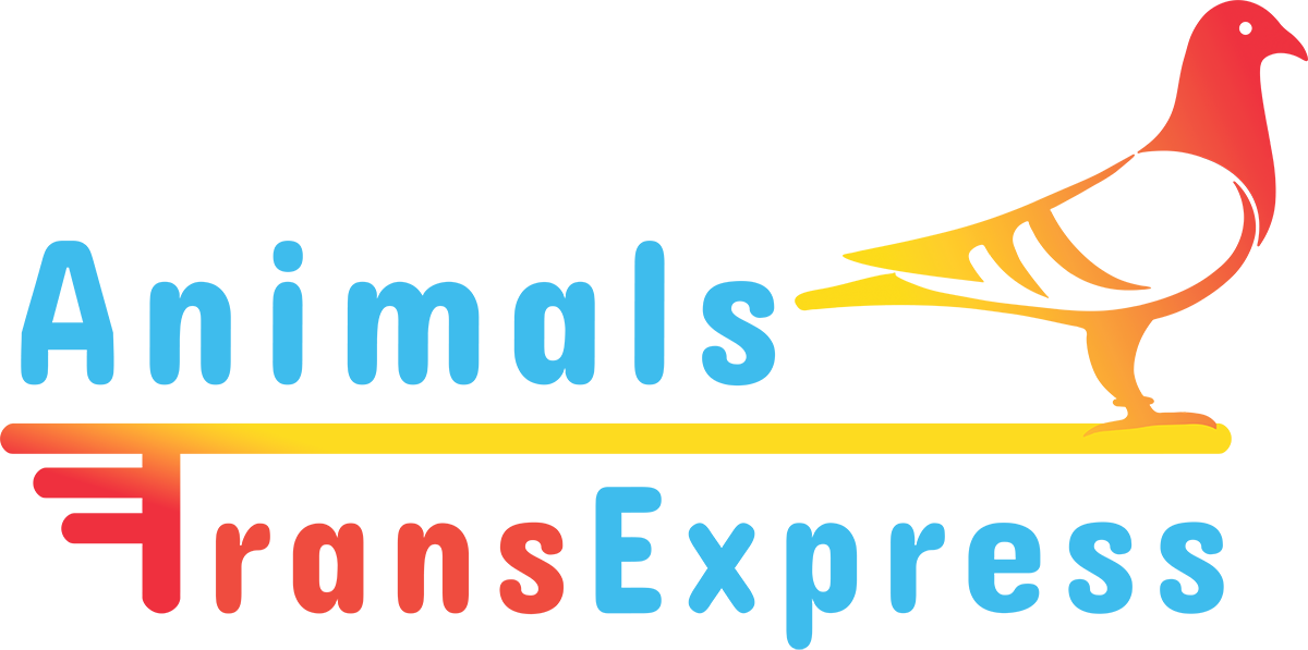 AnimalsTransExpress Logo